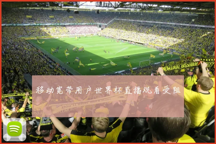 移动宽带用户世界杯直播观看受阻