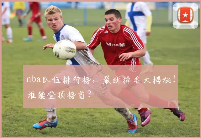 nba队伍排行榜，最新排名大揭秘！谁能登顶榜首？