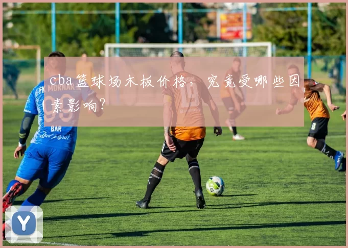 cba篮球场木板价格，究竟受哪些因素影响？
