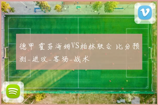 德甲 霍芬海姆VS柏林联合 比分预测_进攻_客场_战术