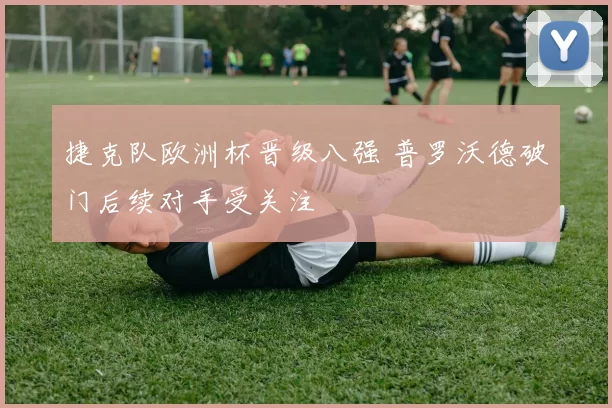 捷克队欧洲杯晋级八强 普罗沃德破门后续对手受关注