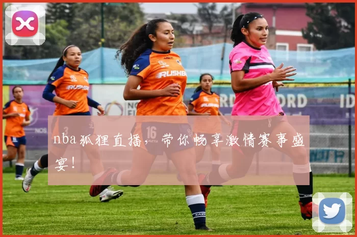 nba狐狸直播，带你畅享激情赛事盛宴！
