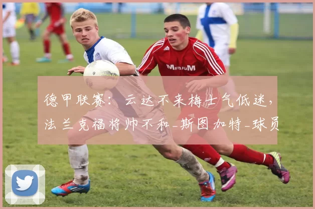 德甲联赛：云达不来梅士气低迷，法兰克福将帅不和_斯图加特_球员_阿门达