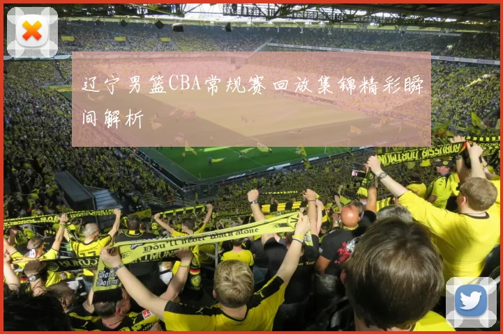 辽宁男篮CBA常规赛回放集锦精彩瞬间解析